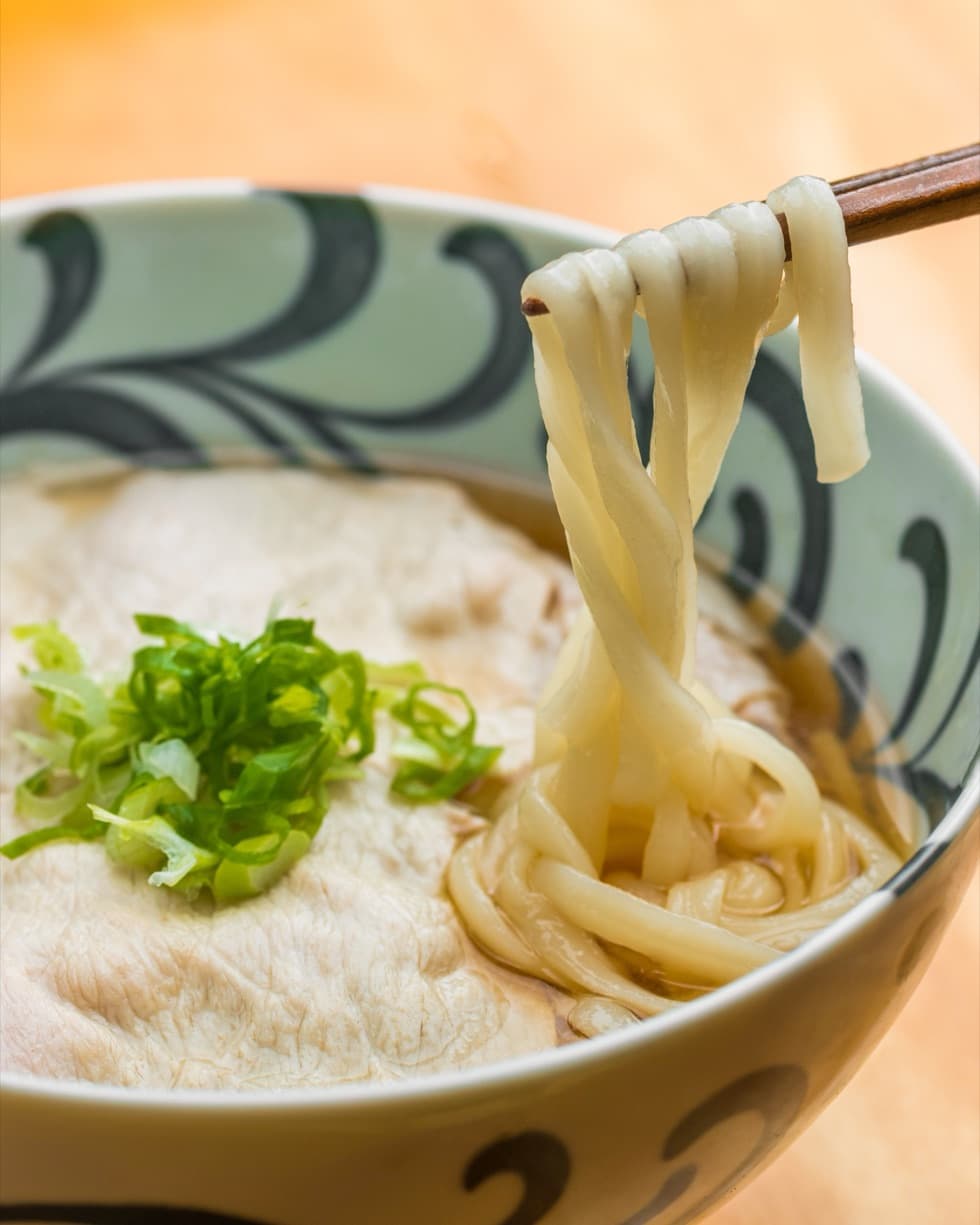 A bowl of udon topped with sliced green onion
